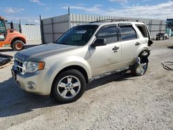 Salvage cars for sale at Arcadia, FL auction: 2012 Ford Escape XLT