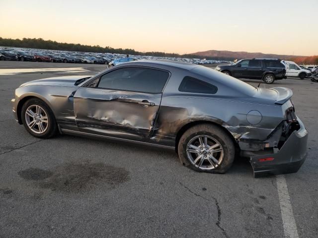 2014 Ford Mustang