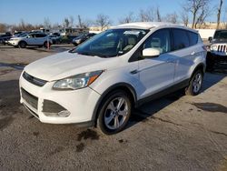 Ford Vehiculos salvage en venta: 2014 Ford Escape SE