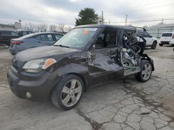 Salvage cars for sale at Lexington, KY auction: 2010 KIA Soul +