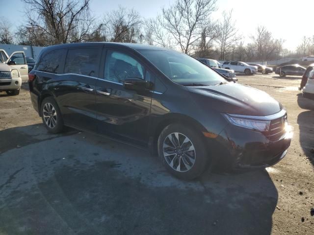 2022 Honda Odyssey EXL