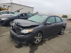 Salvage cars for sale at Martinez, CA auction: 2011 Toyota Corolla Base