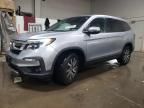 2019 Honda Pilot EXL