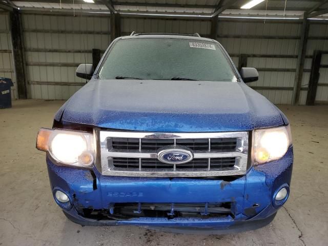 2012 Ford Escape XLT