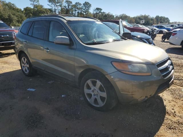 2009 Hyundai Santa FE SE