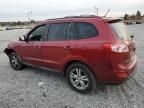 2010 Hyundai Santa FE SE