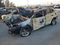 Salvage cars for sale at Van Nuys, CA auction: 2020 Toyota Rav4 XLE