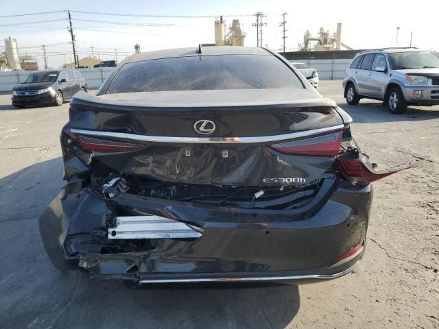 2024 Lexus ES 300H Base