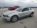 2010 Ford Mustang