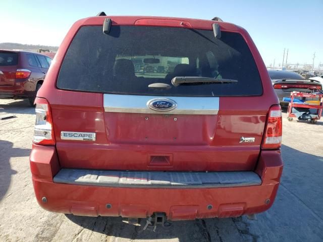 2011 Ford Escape Limited