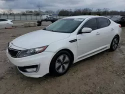 Salvage cars for sale at Louisville, KY auction: 2013 KIA Optima Hybrid