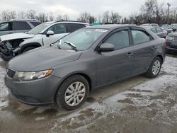 KIA salvage cars for sale: 2013 KIA Forte EX