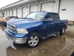 Salvage cars for sale at Louisville, KY auction: 2010 Dodge RAM 1500