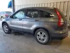 2010 Honda CR-V EXL