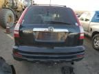 2010 Honda CR-V EXL