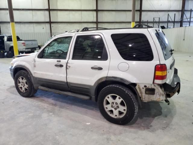 2006 Ford Escape XLT