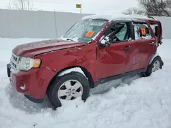 2012 Ford Escape XLT en venta en London, ON