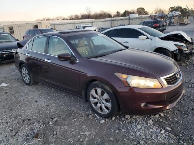 2010 Honda Accord EXL