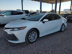 Salvage cars for sale at Phoenix, AZ auction: 2023 Toyota Camry LE