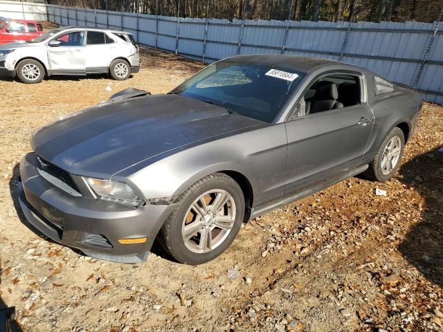 2010 Ford Mustang