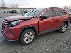 Toyota rav4 salvage cars for sale: 2019 Toyota Rav4 LE