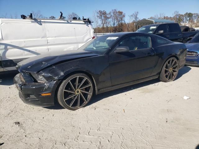 2013 Ford Mustang