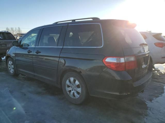 2005 Honda Odyssey EXL