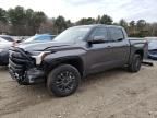 2024 Toyota Tundra Crewmax SR