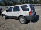 2005 Ford Escape XLT