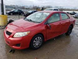 Salvage cars for sale at Louisville, KY auction: 2009 Toyota Corolla Base