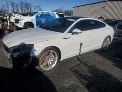 Salvage cars for sale at Spartanburg, SC auction: 2018 Audi A5 Premium Plus S-Line