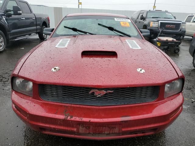 2005 Ford Mustang