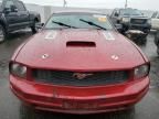 2005 Ford Mustang