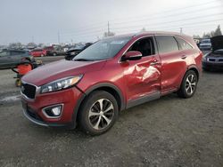 Salvage cars for sale at Eugene, OR auction: 2017 KIA Sorento EX