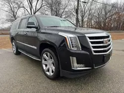 Cadillac salvage cars for sale: 2017 Cadillac Escalade ESV Luxury