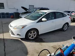 Ford salvage cars for sale: 2014 Ford Focus SE