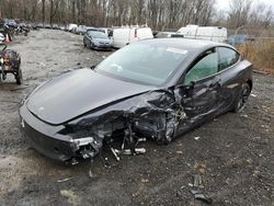 Tesla salvage cars for sale: 2024 Tesla Model 3