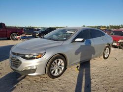 Salvage Cars with No Bids Yet For Sale at auction: 2019 Chevrolet Malibu LT