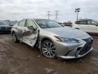 2019 Lexus ES 300H