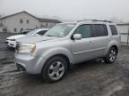 2014 Honda Pilot EXL