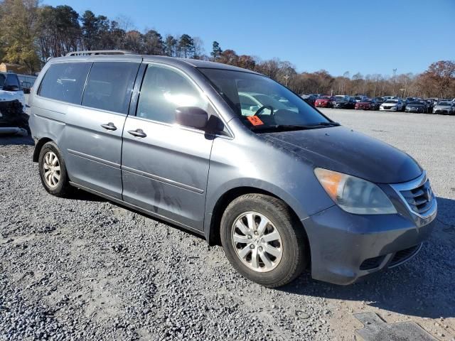 2010 Honda Odyssey EXL