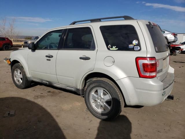 2009 Ford Escape XLT