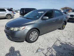 Salvage cars for sale at Taylor, TX auction: 2012 KIA Forte EX