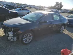 Chevrolet salvage cars for sale: 2019 Chevrolet Malibu LT