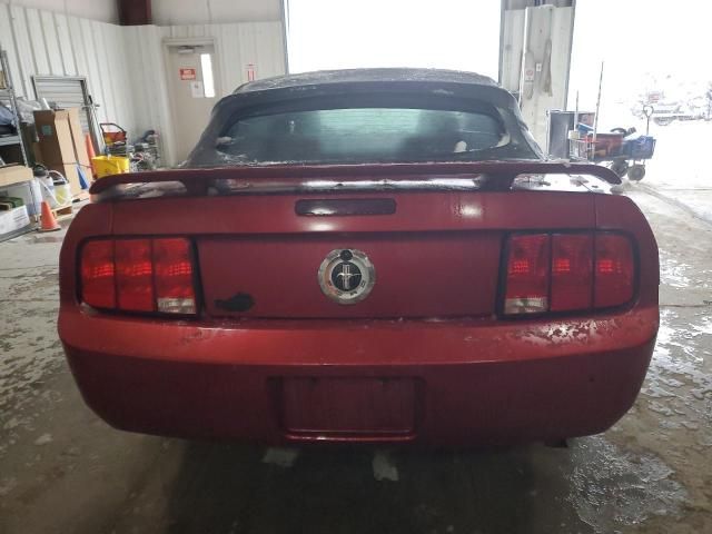 2005 Ford Mustang