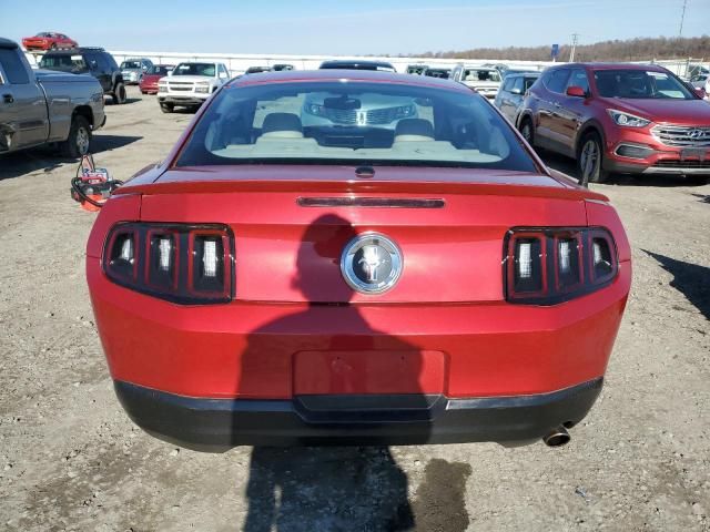 2010 Ford Mustang