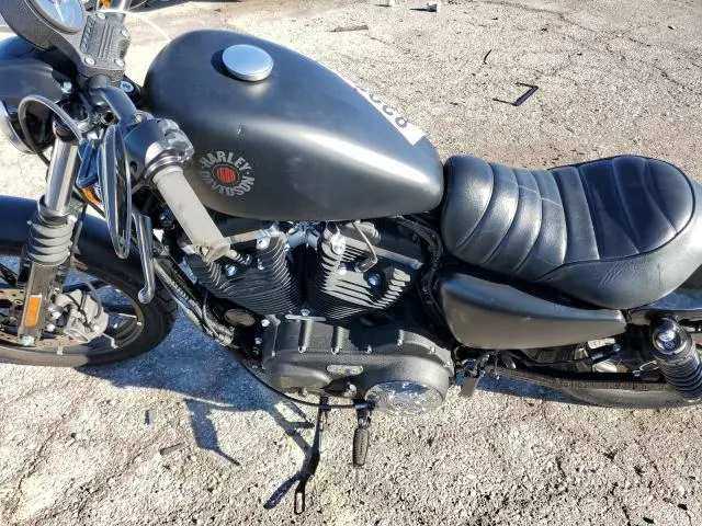 2019 Harley-Davidson XL883 N