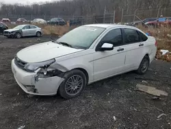 Salvage cars for sale at Baltimore, MD auction: 2010 Ford Focus SE