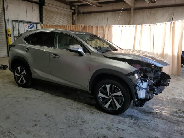 2021 Lexus NX 300H Base