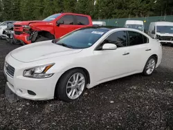 Vehiculos salvage en venta de Copart Graham, WA: 2011 Nissan Maxima S